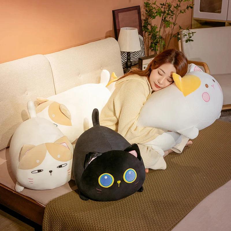 Sussy Chubby Cat Plushies - MoeMoeKyun