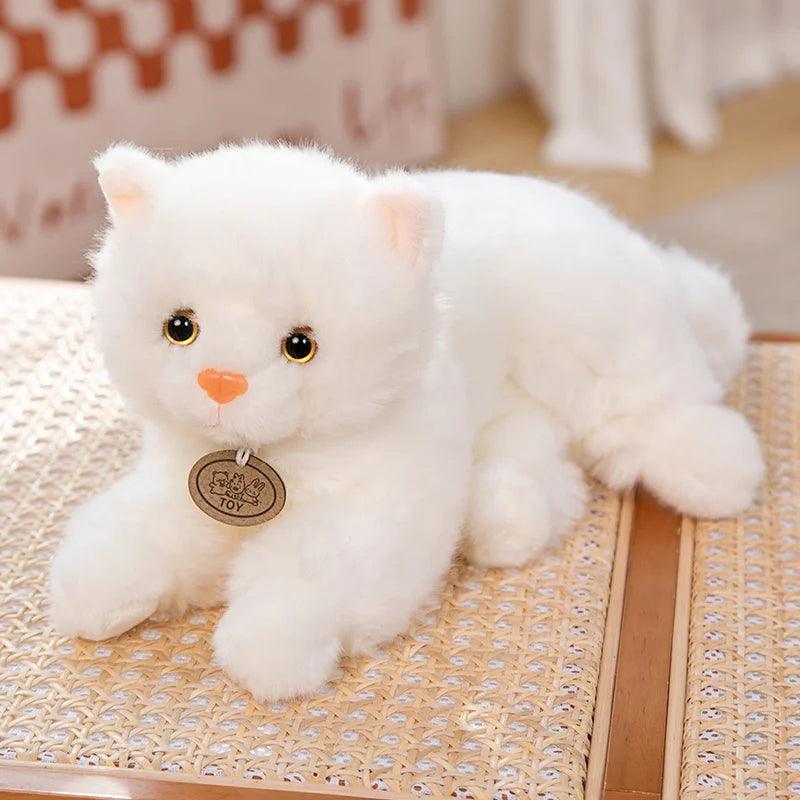 White Kitten Plushies - MoeMoeKyun